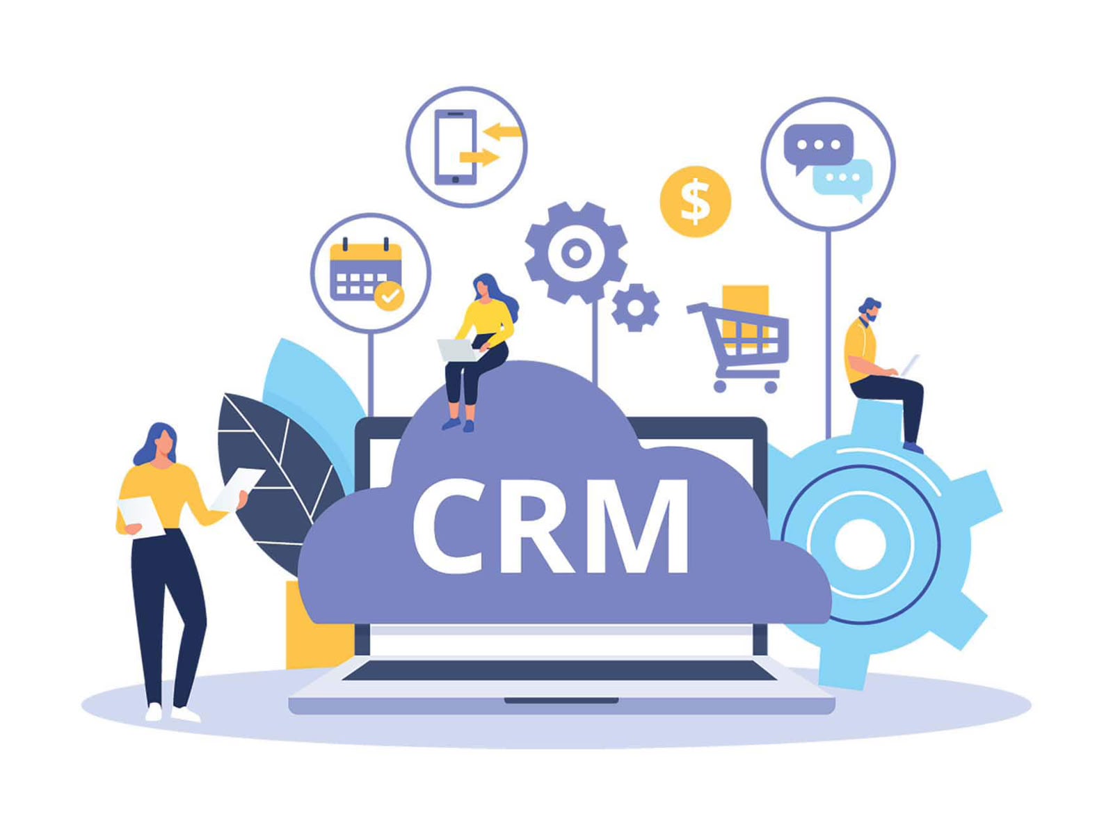 CRM Development