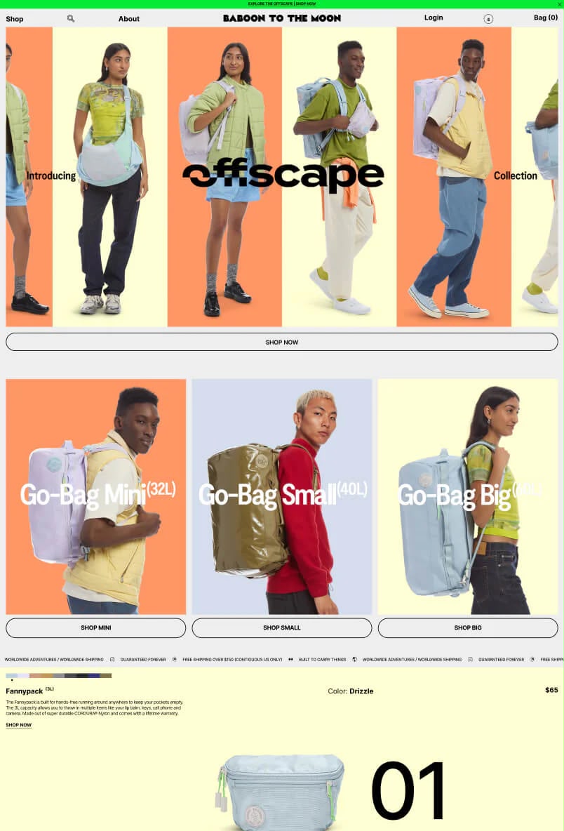 Shopify Store Design